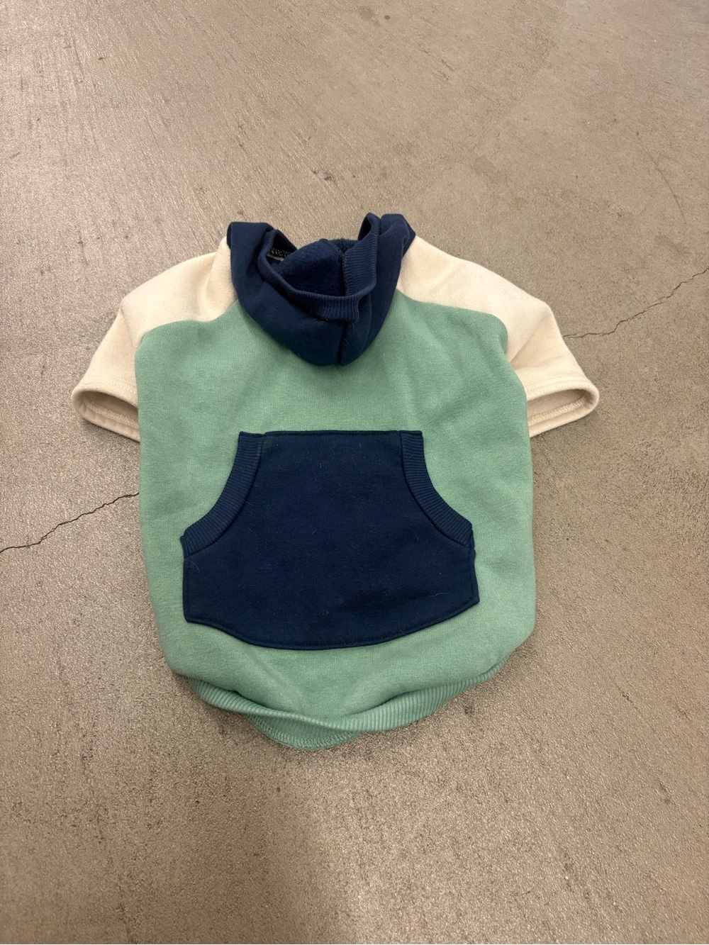 Dog Color block Hoodie